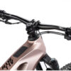 Haibike ALLMTN CF 11 2025